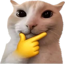 A cat with a thinking hand on its chin